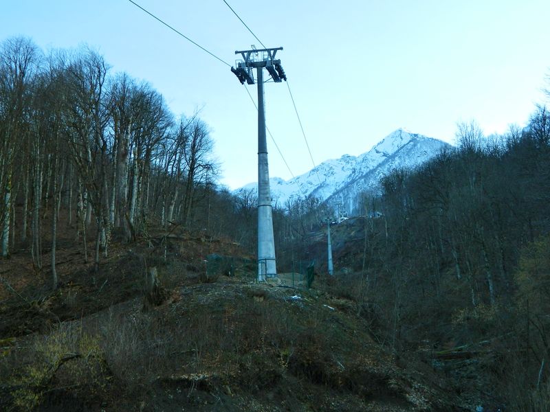 Posted Image
